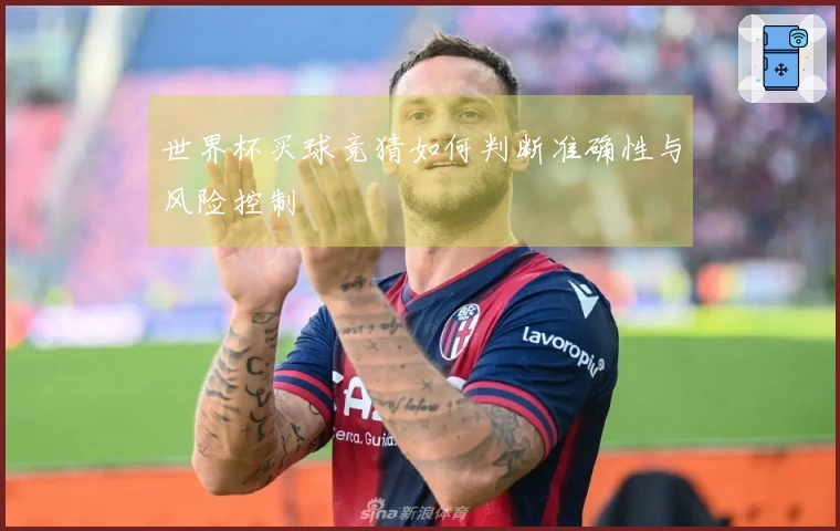世界杯买球竞猜如何判断准确性与风险控制
