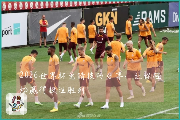 2026世界杯竞猜技巧分享，让你轻松赢得投注胜利
