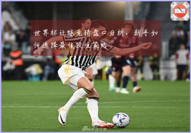 世界杯让球竞猜盘口分析，新手如何选择最佳投注策略
