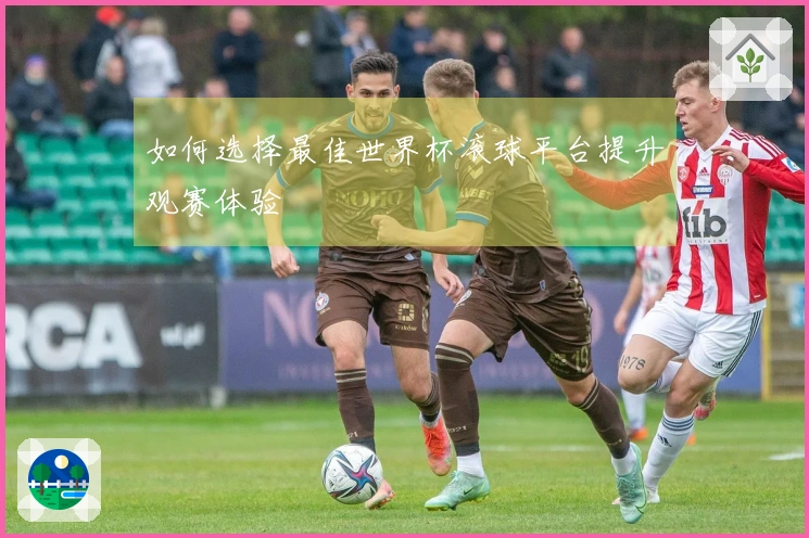 如何选择最佳世界杯滚球平台提升观赛体验
