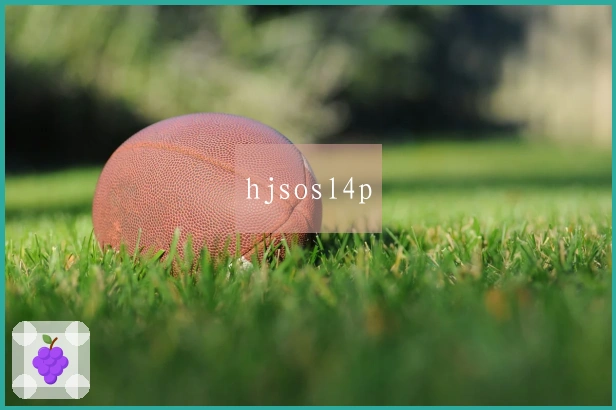 hjsosl4p