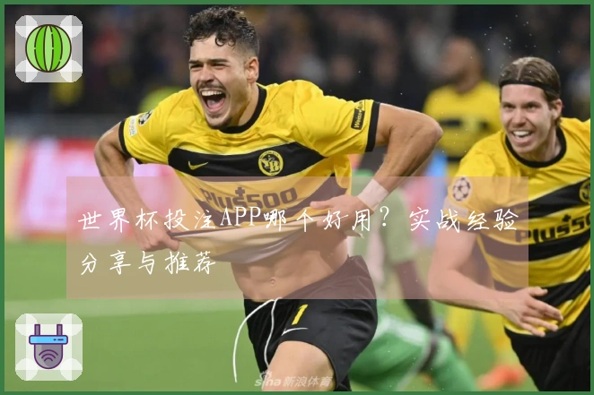 世界杯投注APP哪个好用？实战经验分享与推荐