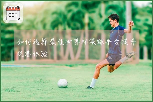 如何选择最佳世界杯滚球平台提升观赛体验