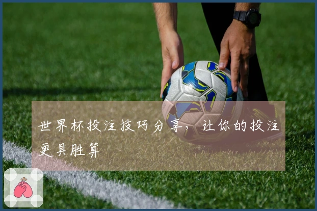 世界杯投注技巧分享，让你的投注更具胜算