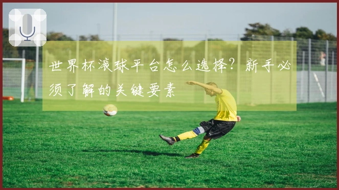 世界杯滚球平台怎么选择？新手必须了解的关键要素