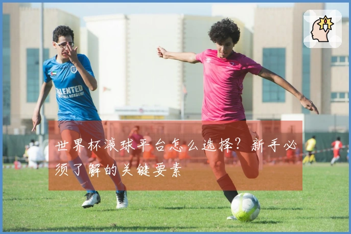 世界杯滚球平台怎么选择？新手必须了解的关键要素