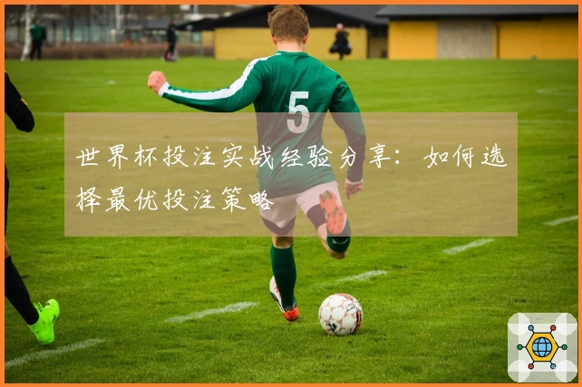 世界杯投注实战经验分享：如何选择最优投注策略