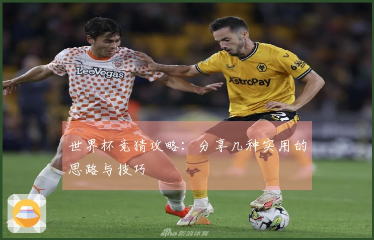 世界杯竞猜攻略：分享几种实用的思路与技巧